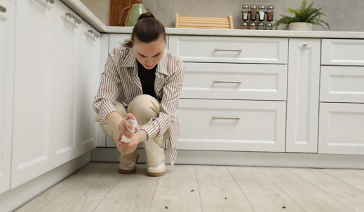 Clean Home but Still Attract Pests