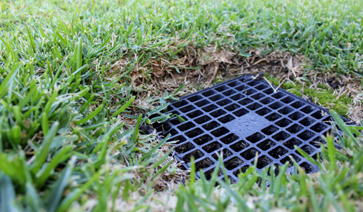 backyard drainage