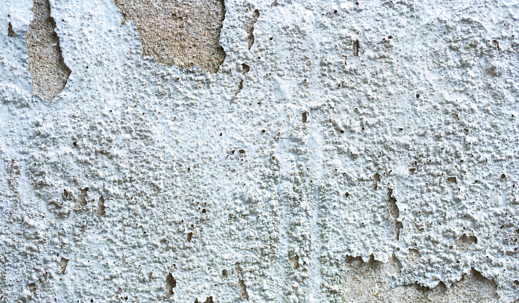 termite drywall damage