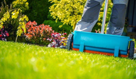 Spring Fertilization of Grass