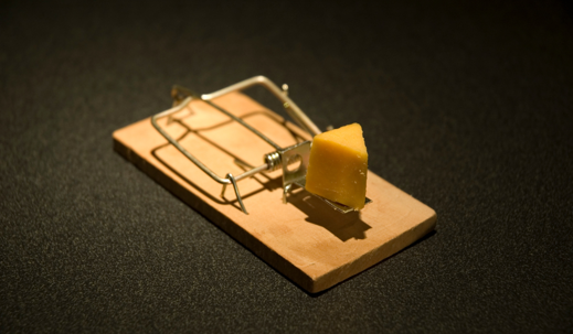 mouse trap with cheese bait
