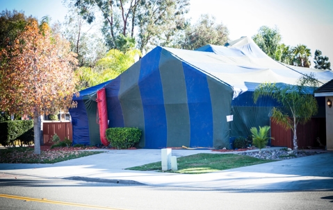 House covered by a tent for fumigation