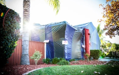 House under termite fumigation service