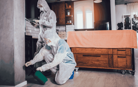 Specialists in protective suits do disinfection or pest control in the apartment.