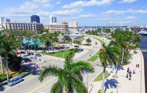 Ghost ant control in West Palm Beach