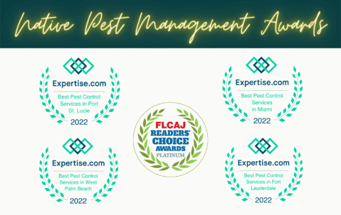 Native Pest Wins Platinum For FLCAJ