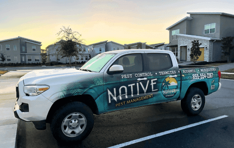 Top Rated Pest Control in Florida