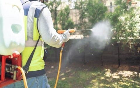 Pest Control Service thumbnail