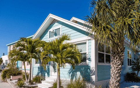 Palm Tree care in West Palm Beach.