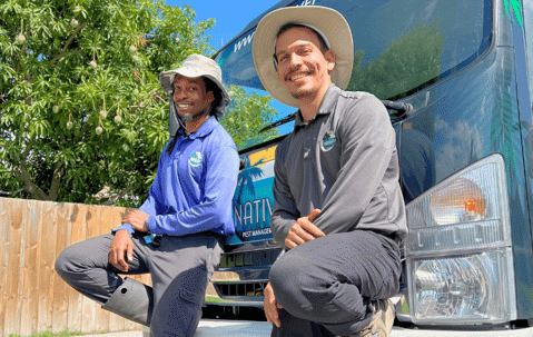 Lawn pest control