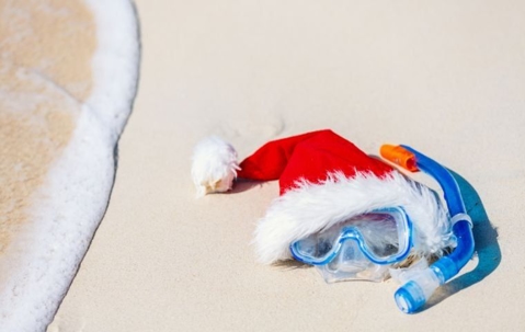 Pest free holiday season in Miami, FL