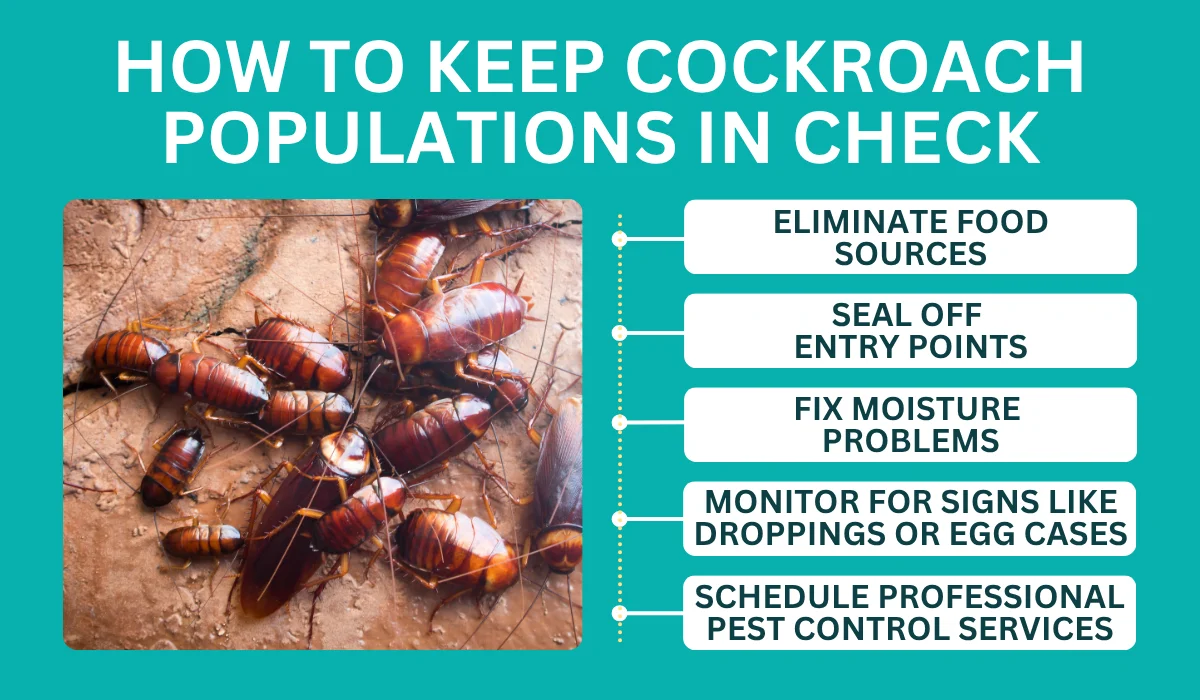 How to Keep Cockroach Populations in Check