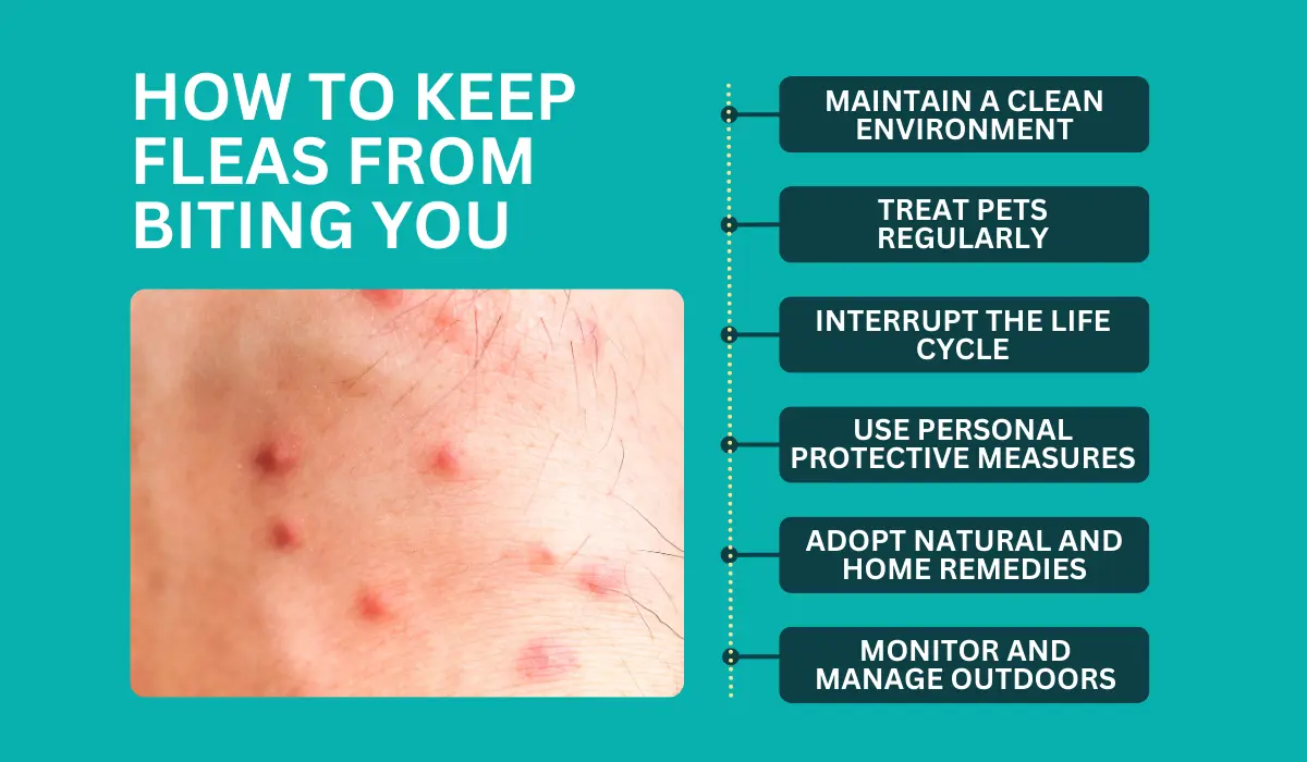 6 Ways to Keep Fleas From Biting You Native Pest Management