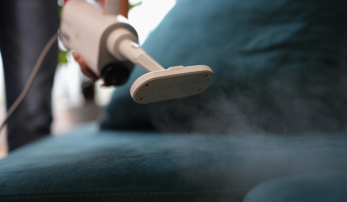 Top 5 Best Steamers for Bed Bugs in Miami