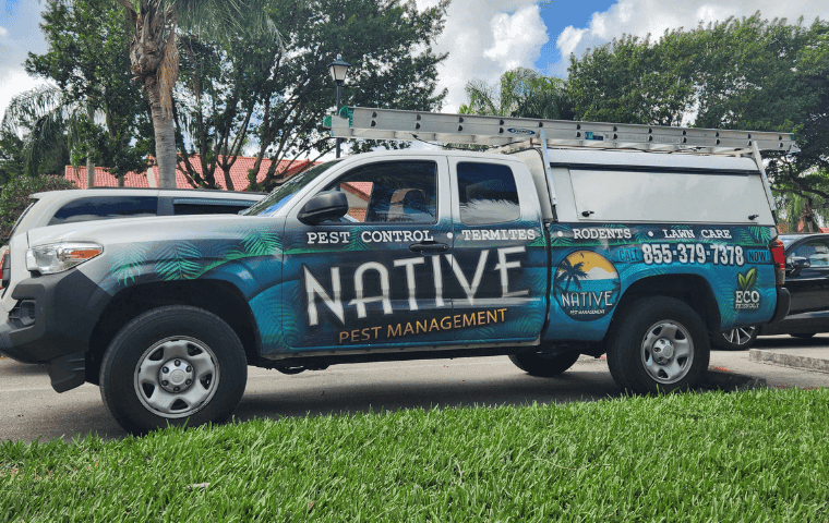 Can I Get Rid of Roaches Without an Exterminator? | Native Pest Management