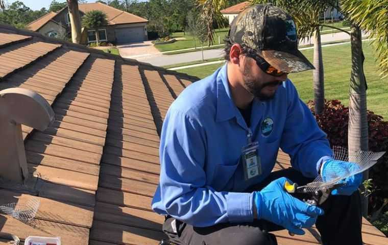 Rodent treatment in West Palm Beach, FL