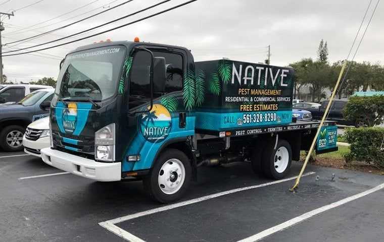 native pest control truck in south florida