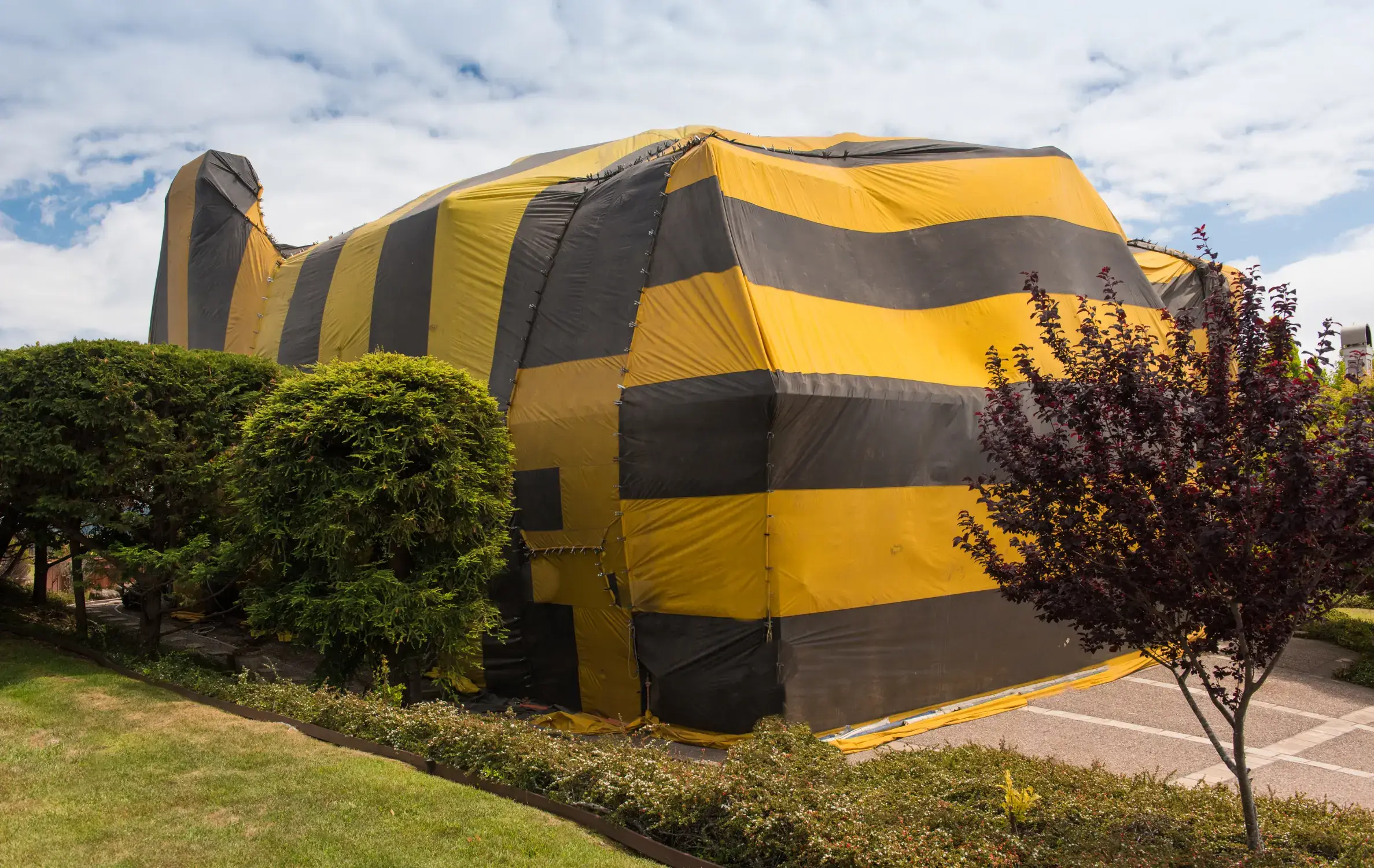 House is covered by tent for fumigation