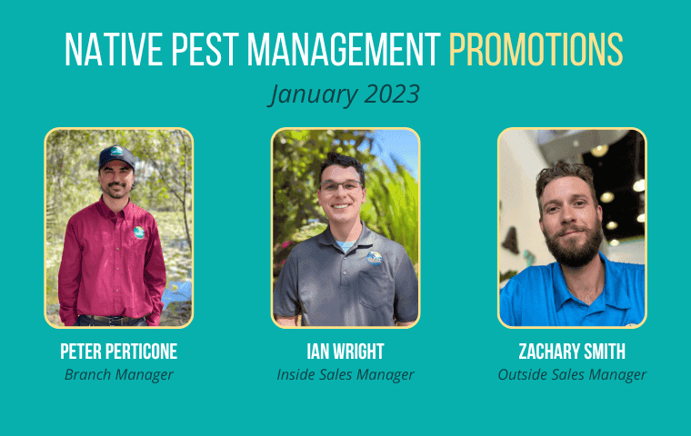 Native Pest Management Promotions from January 2023