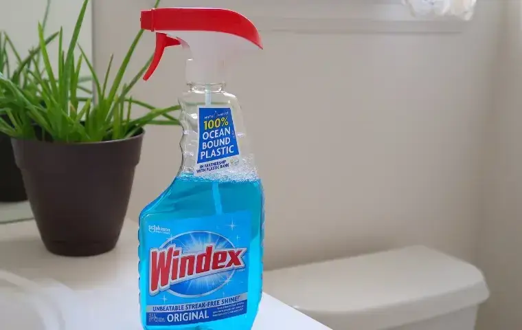 windex cleaner in a bathroom
