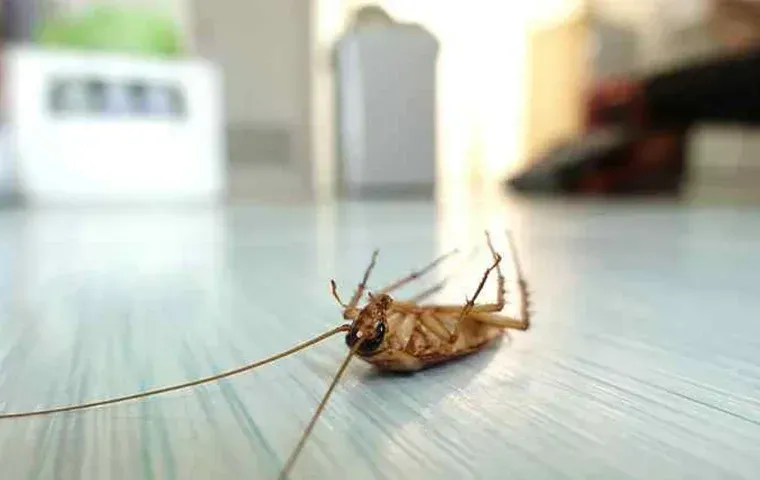 cockroach on back
