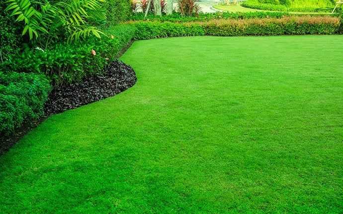 a groomed lawn in south florida