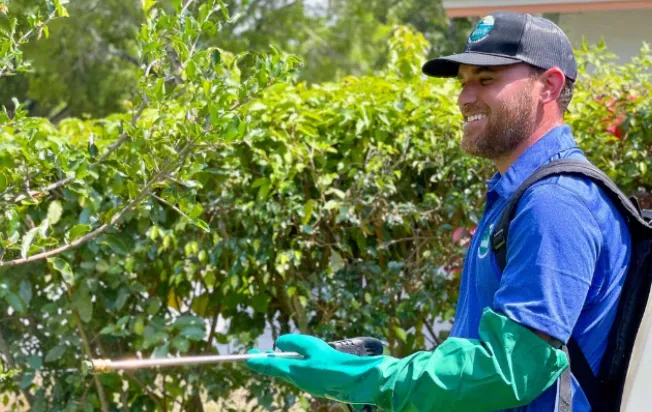 A technician spraying bushes