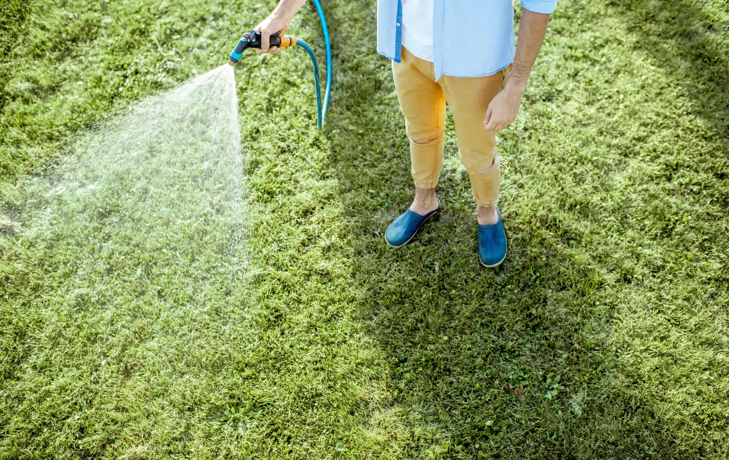 Man watering green lawn