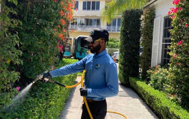Lawn care for hedge in West Palm Beach