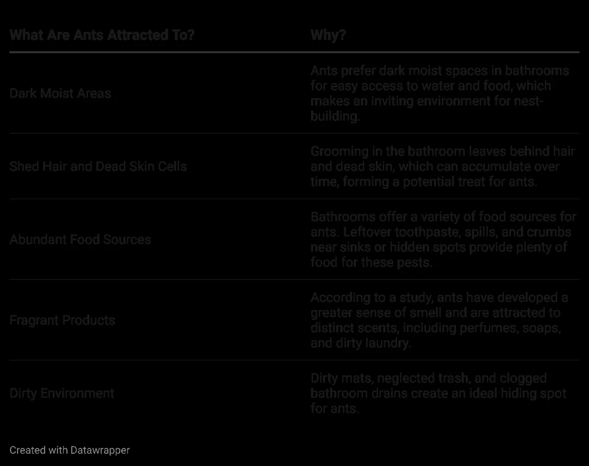 what are ants attracted to?