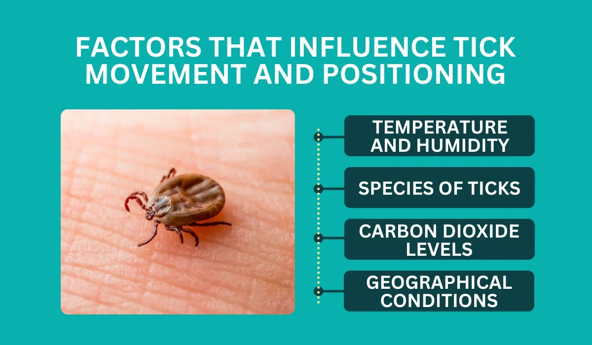 Can Ticks Jump? Debunking Myths About Tick Movement | Native Pest ...