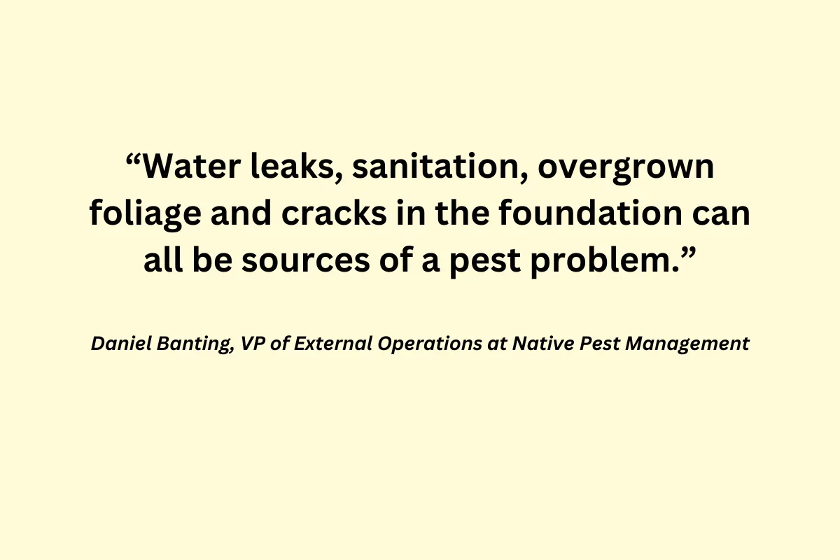 water leaks