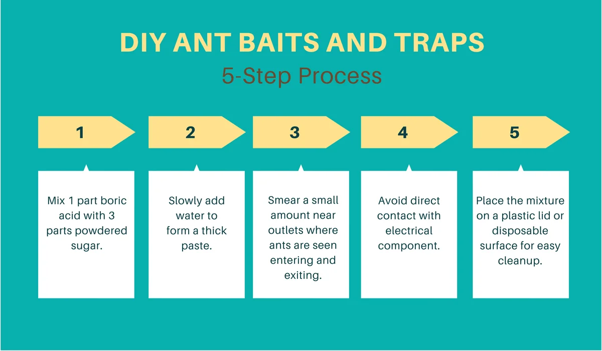 DIY ant baits and traps table