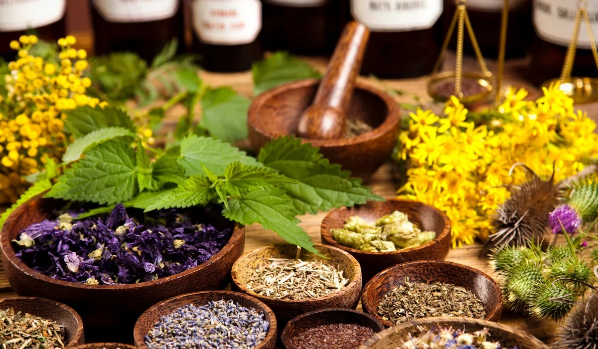 plants and herbs