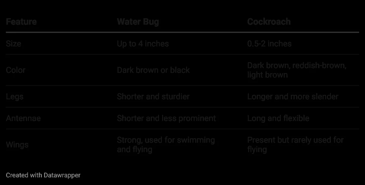 Physical traits and behavior chart of Water Bugs and Cockroaches.