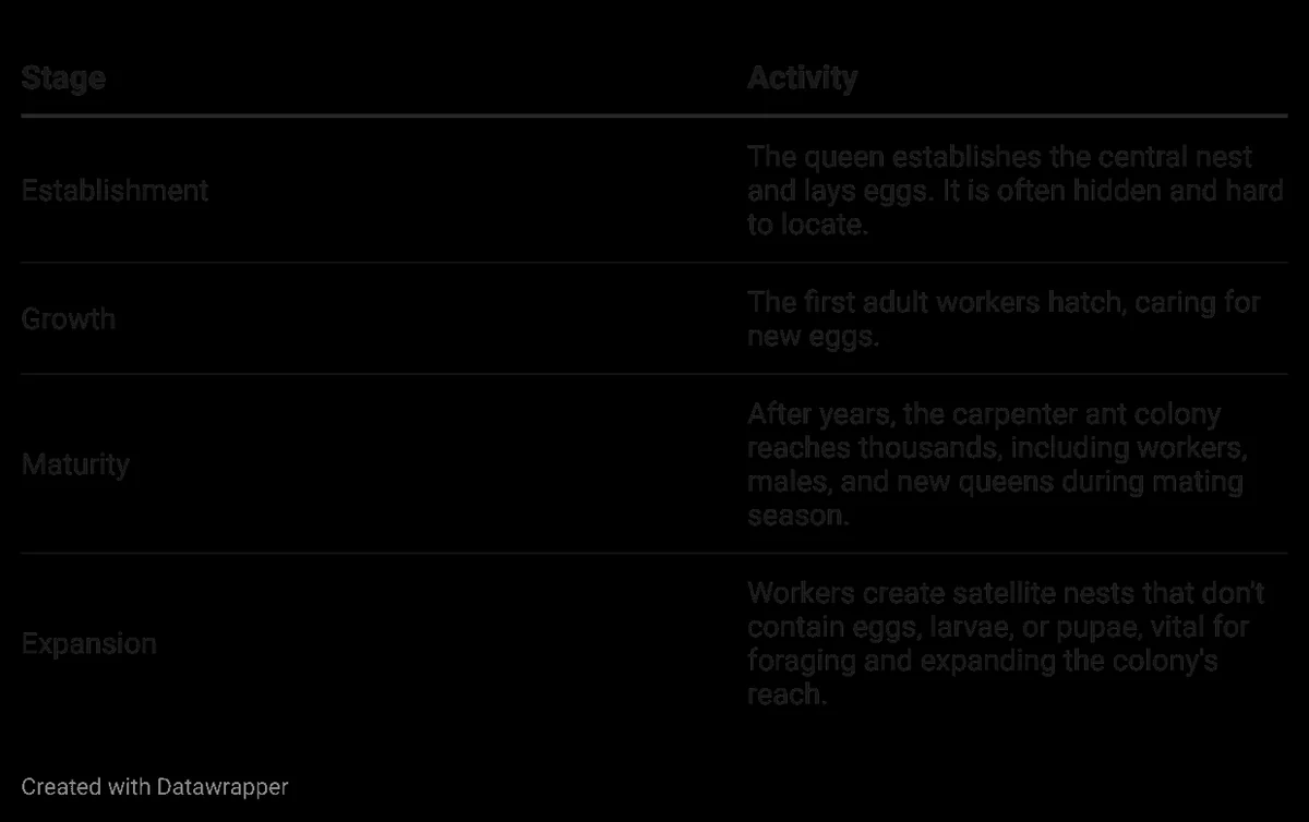 Colony Formation List.