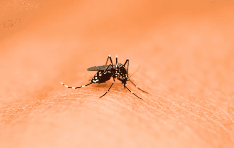 Mosquito Control in West Palm Beach