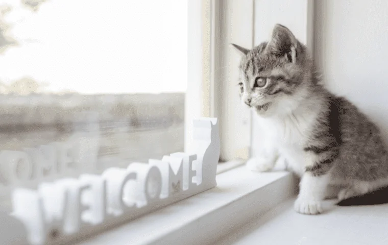 Flea Control for cats in Wellington, FL